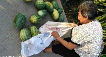 桂林吃瓜最新事件爆料,揭秘背后真相与网络热议背后的故事