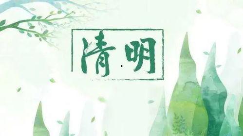 清明最新爆料,重磅爆料揭秘幕后故事