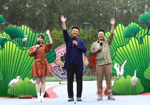 宁夏吴某爆料事件视频最新,揭秘背后惊人真相